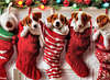 Christmas puppies wallpapers.